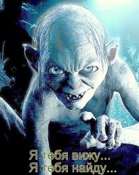 Внешность бывает обманчива: сердитая кошечка по кличке Барбара