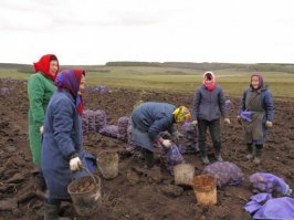Расходимся ... вот деревенские девушки: