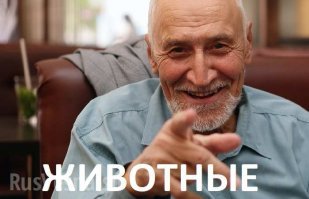 Заячьи разборки возле кормушки в казахском заповеднике