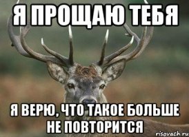 15 изрядно подвыпивших персонажей, которым сегодня море по колено