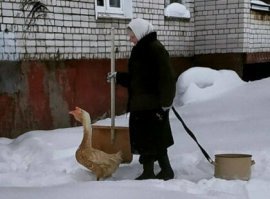 Как много загадок в одном фото...