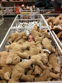 Что, в икею резиновых кукол завезли?