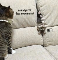Смешные картинки из соц сетей