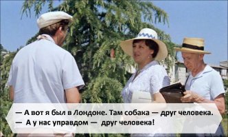 Бродячие собаки; заблуждения и мифы