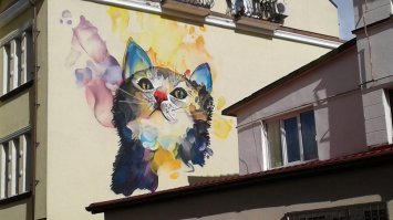 Всё заграница... А у нас в России есть город котов. И чего то тут он даже не упомянут. Но вот теперь знайте, что Зеленоградск-город котов. Есть "Мурариум"- музей кошек. И есть даже свой котошеф!