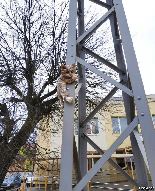 Всё заграница... А у нас в России есть город котов. И чего то тут он даже не упомянут. Но вот теперь знайте, что Зеленоградск-город котов. Есть "Мурариум"- музей кошек. И есть даже свой котошеф!