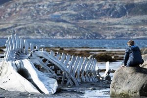 Про комплекс "Вятский Посад"
