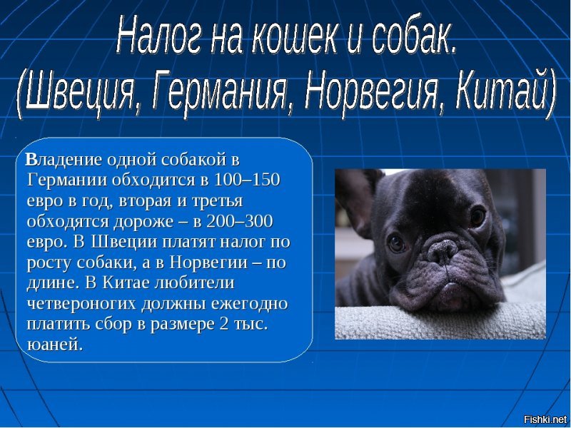 Всё. Началось