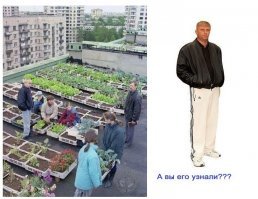 Детство без интернета. Как это было в 90-х