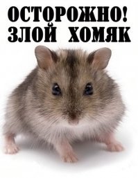 Ну что тут скажешь .....  ...... хомячки боевые !!!