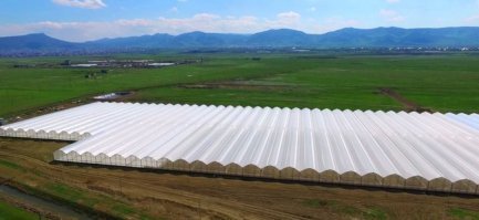 Ну хотя бы потому что эти овощи выращены на диких химикатах.
И кто его знает как это скажется на здоровье?
Может после 10 лет употребления овощей из Китай какой нибудь рак вылезет.

И что например мешает в Хабаровске и пекинскую и кочанную капусту выращивать в теплицах?
Не я понимаю что это вполне может быть не конкурентно с тем же Китаем. Но вполне правительство может принять закон что продавать на территории России можно продукты выращенные по определённым правилам и гостам.