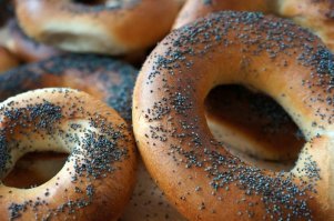 Попугаи пристрастились к опиуму и сеют хаос