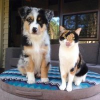 Невероятные совпадения, в которые трудно поверить, но которые произошли на самом деле