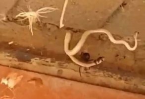 Теперь все правильно