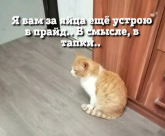 Кастрировать было лишнее..