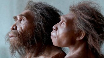 Кто родители девочки?