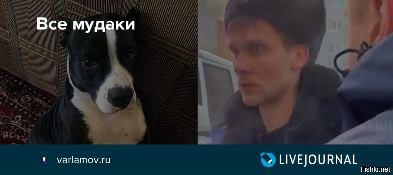 что-то навеяло...есть у пейсателей свои любимые темы..
вона у "гулаг" - тема анального секаса проходит красной чертой через все творчество.
у данного же персонажа все творчество свелось к "все мудаки" и "кругом г-но". при этом, за последним, желанию посмаковать, и расстояние не помеха.