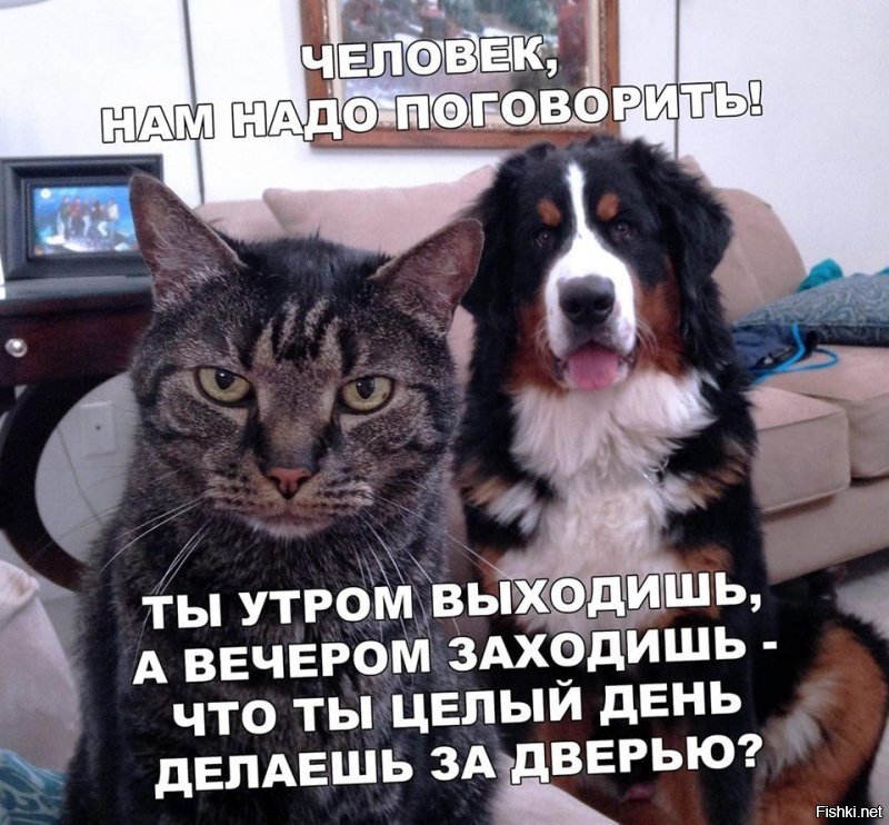 Солянка от 03.03.2020