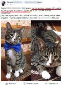 Ту би ор нот ту би?