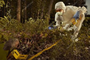 Ребзя так это были Вы???? Я понимаю, что у Вас урожай огонь!Завязывайте, все в округе уже который год боятся в лес ходить!