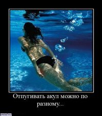 Намешалось