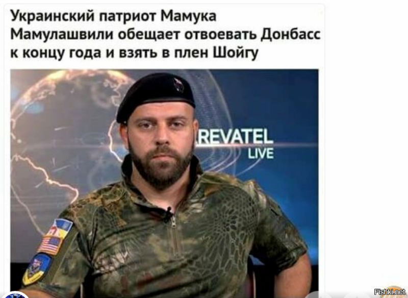 Допускаю, Шойгу в плен он возьмёт, но донбасс-то, ДОНБАСС как вернёт?
