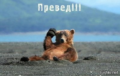 Солянка от 03.03.2020