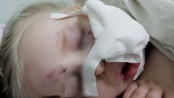 Животные всегда дарят позитив и улыбку??
На! Смотри! 
Фоток хотите? Извольте!