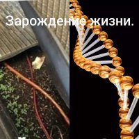 Подборка автомобильных приколов