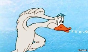 Оближи святыню: иранцы целуют ограды мечетей, чтобы доказать, что их вера сильнее коронавируса