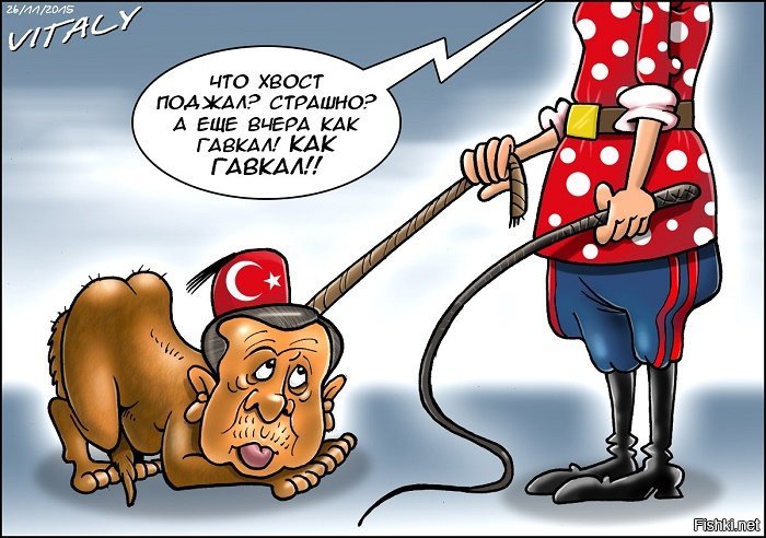 Политические картинки