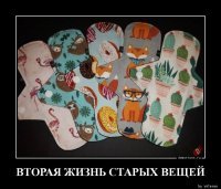 Лисичек жалко...
