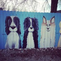 Это может стать мейнстримом.