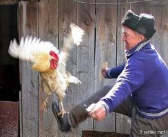 "Онижедети" устроили драку с полицией...штраф 500 руб