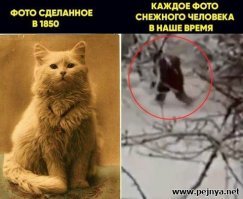 Великие мистические загадки, разрешить которые не могут до сих пор