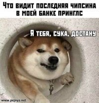 Охота за вкусняшкой: кот пытается дотянуться до курицы