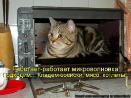 15 малоизвестных фактов об СВЧ-печах