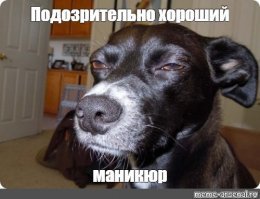 17 эпичных смс-переписок, в которых самый сок - в конце
