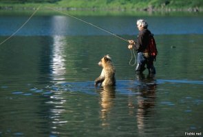 А можно и на пару.