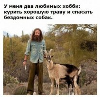 А козу он потрахивает в перерывах между травой и спасением собак.