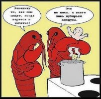 Эти загадочные голуби