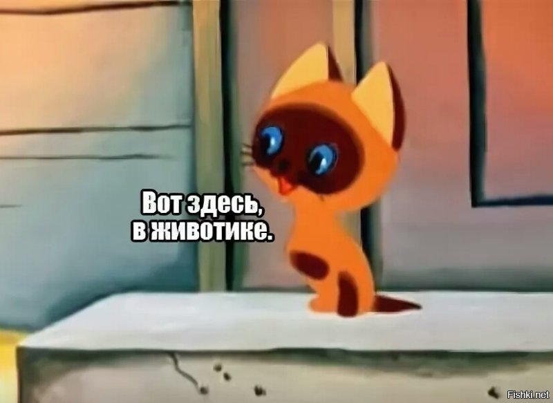 Солянка от 05.03.2020