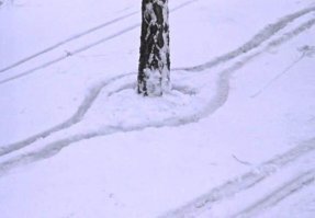 Кубики на март #1