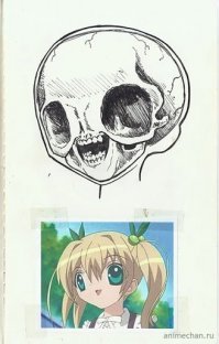 Как выглядели бы черепа мультяшных персонажей?