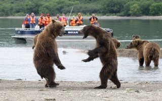 Ты че, дятел... Реально берега попутал?