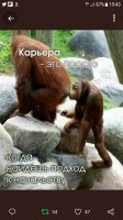 А не пройтись ли нам сатирой ?