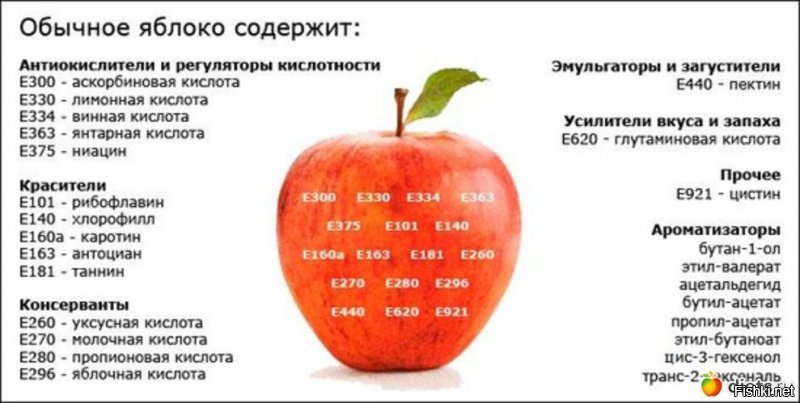 Пищевая добавка Е536