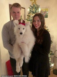 Онни с родителями??? До сих пор думал, что собак рожают собаки. Как много я не знаю.