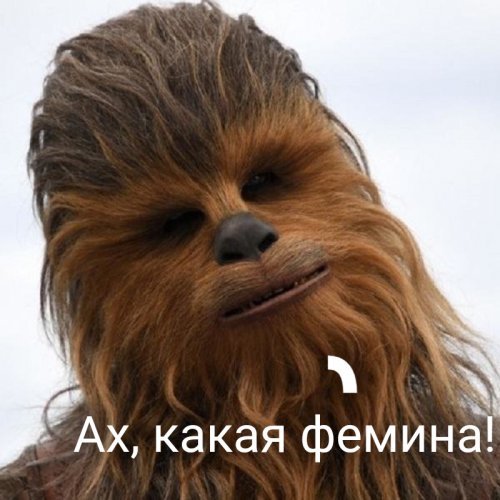 Солянка от 06.03.2020