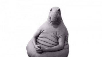 Когда ввел адрес google.com